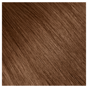 Aqua Clip-in Hair Extensions: Straight, 20", Color #6 Light Brown