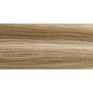 Aqua Clip-in Hair Extensions: Straight, 20", Color #8/24 Duo Tone